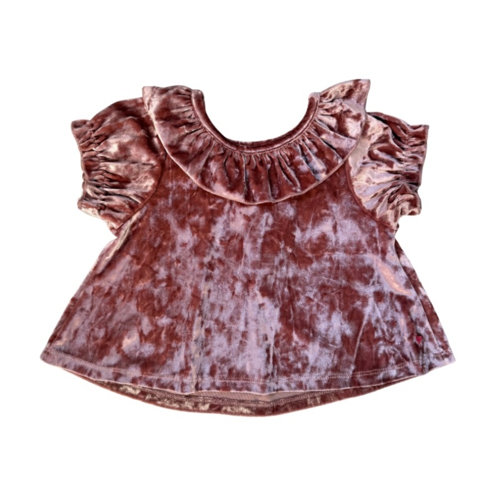 Pink Chicken Velvet Ruffle Blouse - Mauve | SZ 2Y